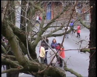 Les enfants du conte